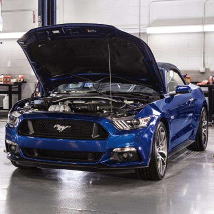 Maintaining Your Vehicle