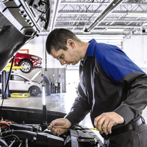Trust in Our Knowledge and Expertise.